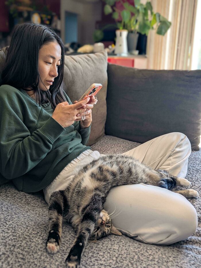 134 Times Cats Made Their Owners Laugh And They Had To Share Pics Online (New Pics)