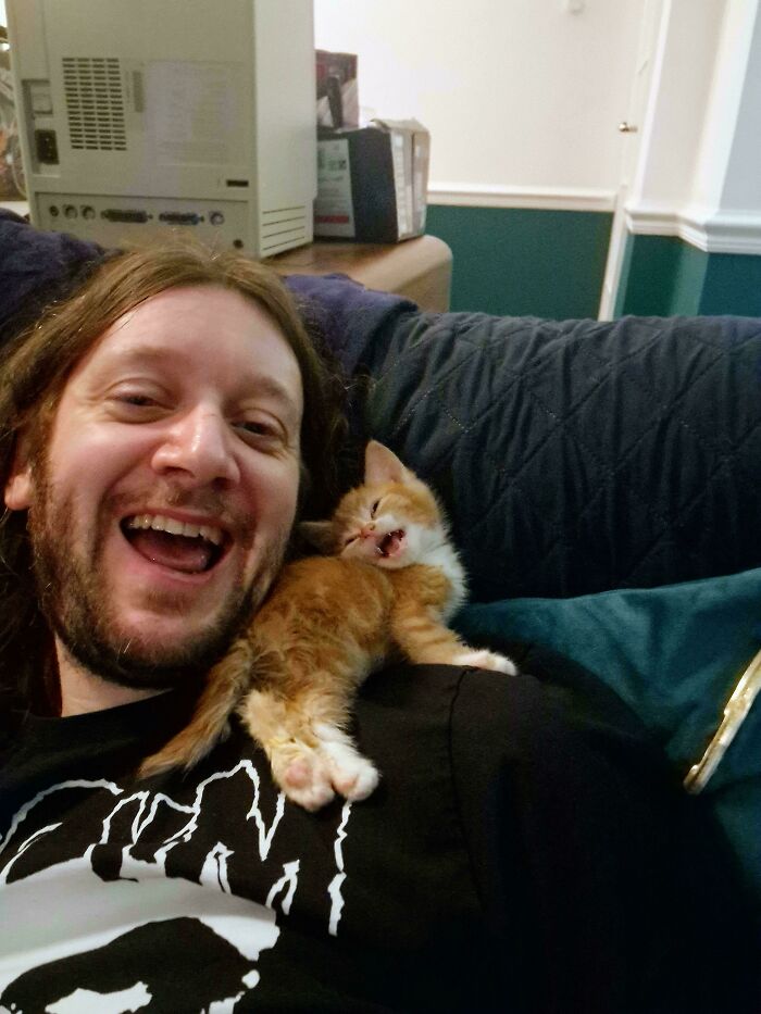 134 Times Cats Made Their Owners Laugh And They Had To Share Pics Online (New Pics)