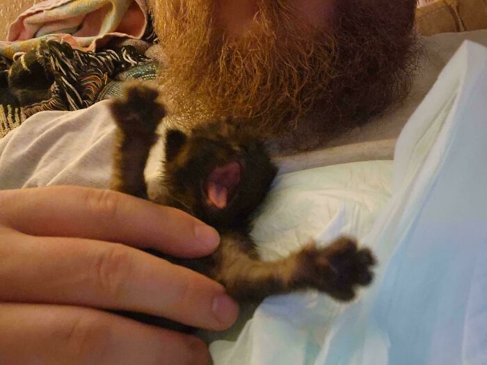134 Times Cats Made Their Owners Laugh And They Had To Share Pics Online (New Pics)