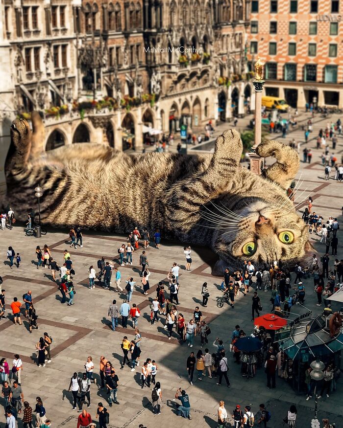 Artist Imagines Surreal Parallel Universe Where Giant Cats Reign, And Here Are 55 New Pieces