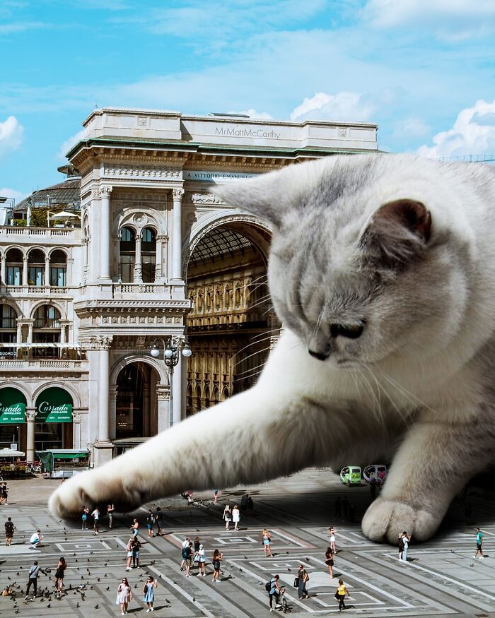 Artist Imagines Surreal Parallel Universe Where Giant Cats Reign, And Here Are 55 New Pieces