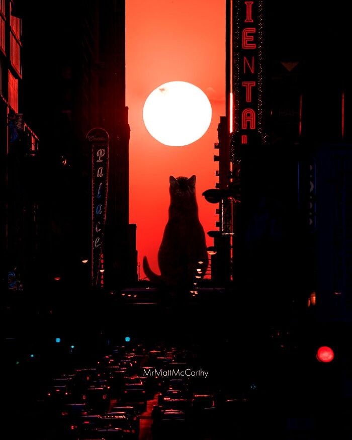 Artist Imagines Surreal Parallel Universe Where Giant Cats Reign, And Here Are 55 New Pieces