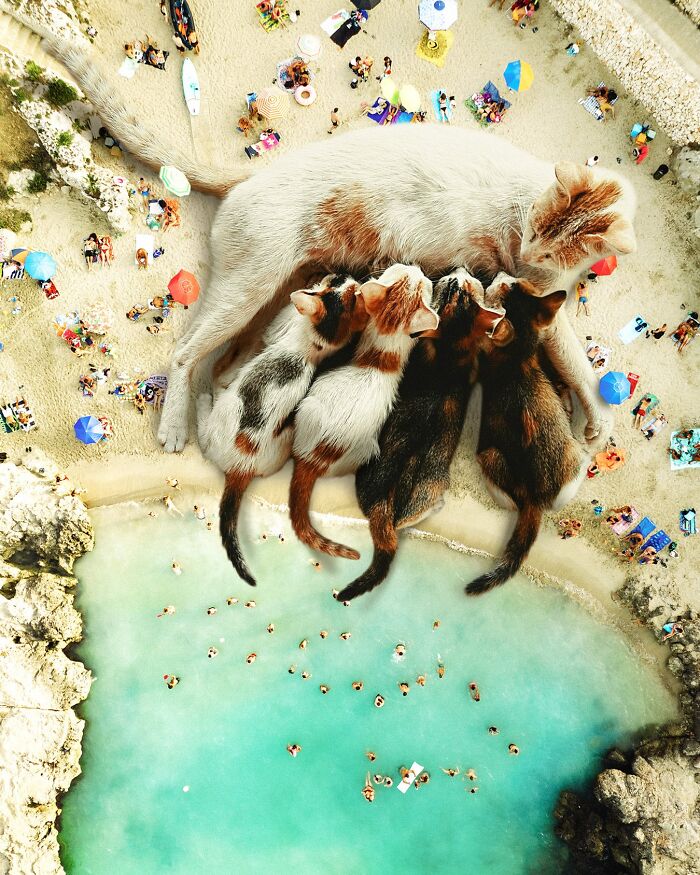 Artist Imagines Surreal Parallel Universe Where Giant Cats Reign, And Here Are 55 New Pieces