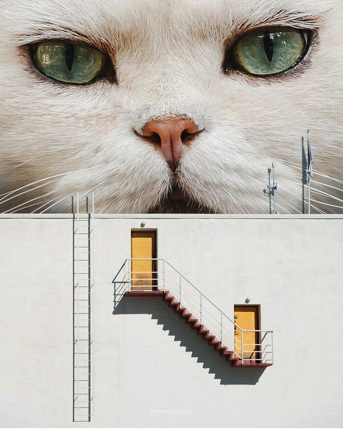 Artist Imagines Surreal Parallel Universe Where Giant Cats Reign, And Here Are 55 New Pieces