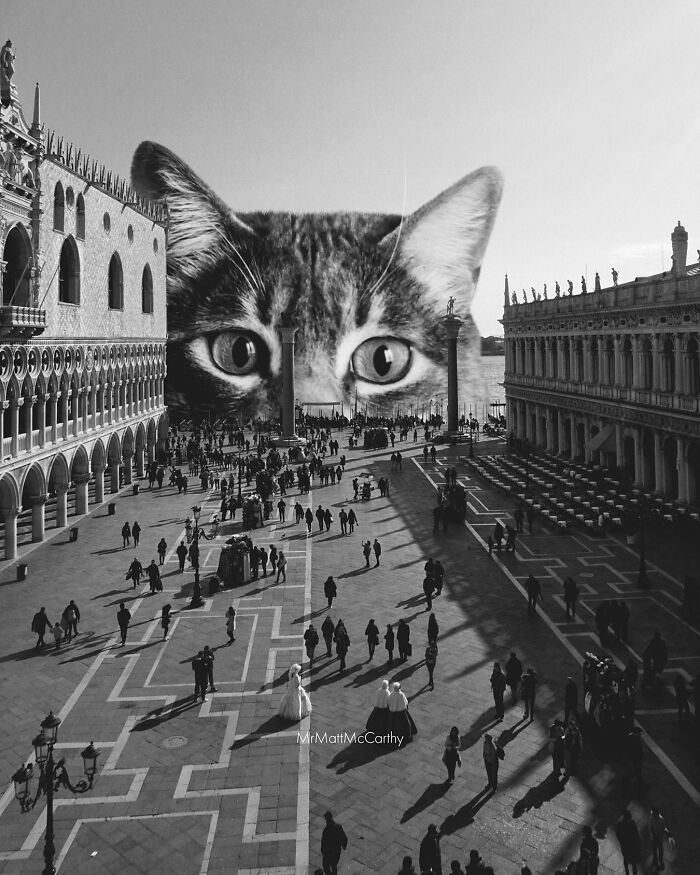 Artist Imagines Surreal Parallel Universe Where Giant Cats Reign, And Here Are 55 New Pieces