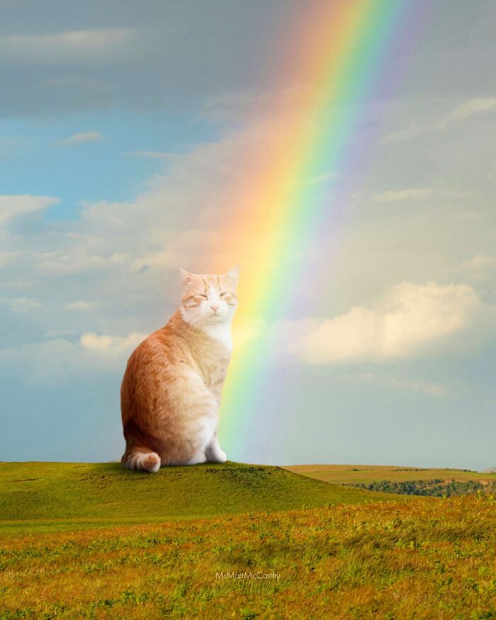 Artist Imagines Surreal Parallel Universe Where Giant Cats Reign, And Here Are 55 New Pieces