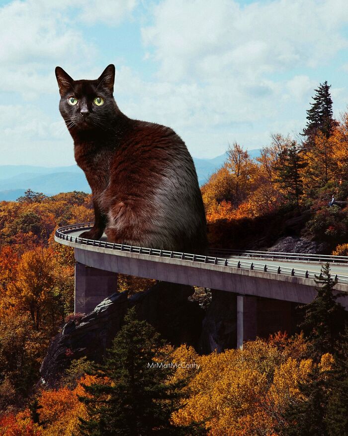 Artist Imagines Surreal Parallel Universe Where Giant Cats Reign, And Here Are 55 New Pieces