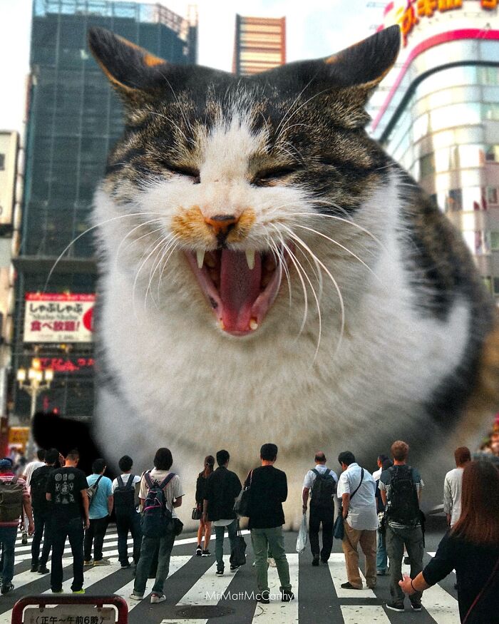 Artist Imagines Surreal Parallel Universe Where Giant Cats Reign, And Here Are 55 New Pieces