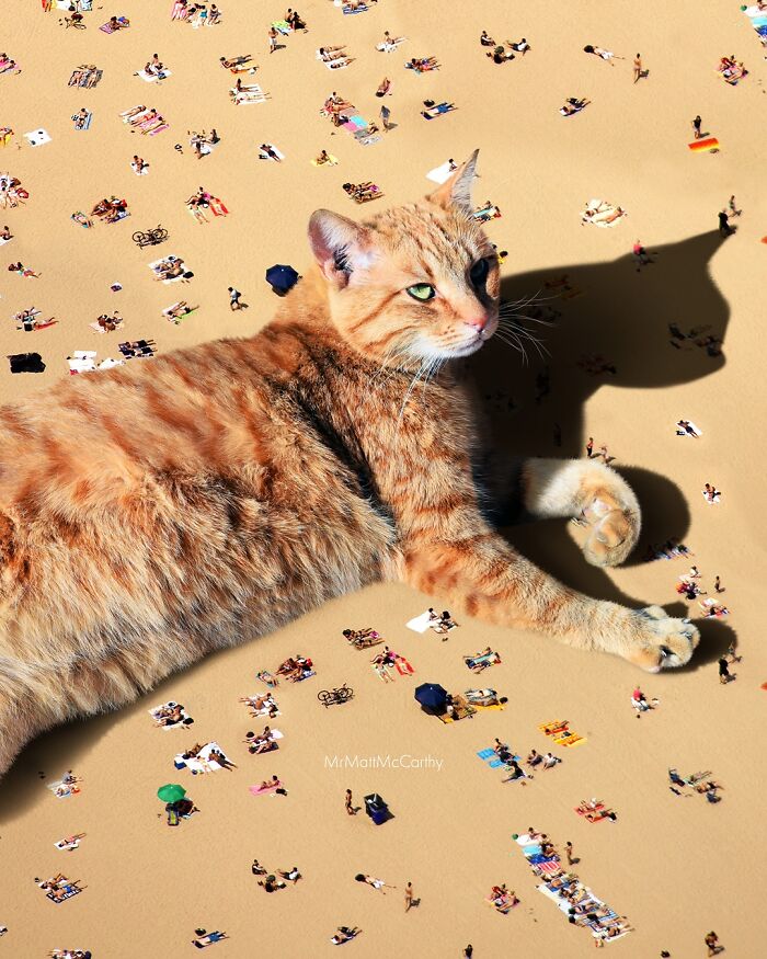 Artist Imagines Surreal Parallel Universe Where Giant Cats Reign, And Here Are 55 New Pieces