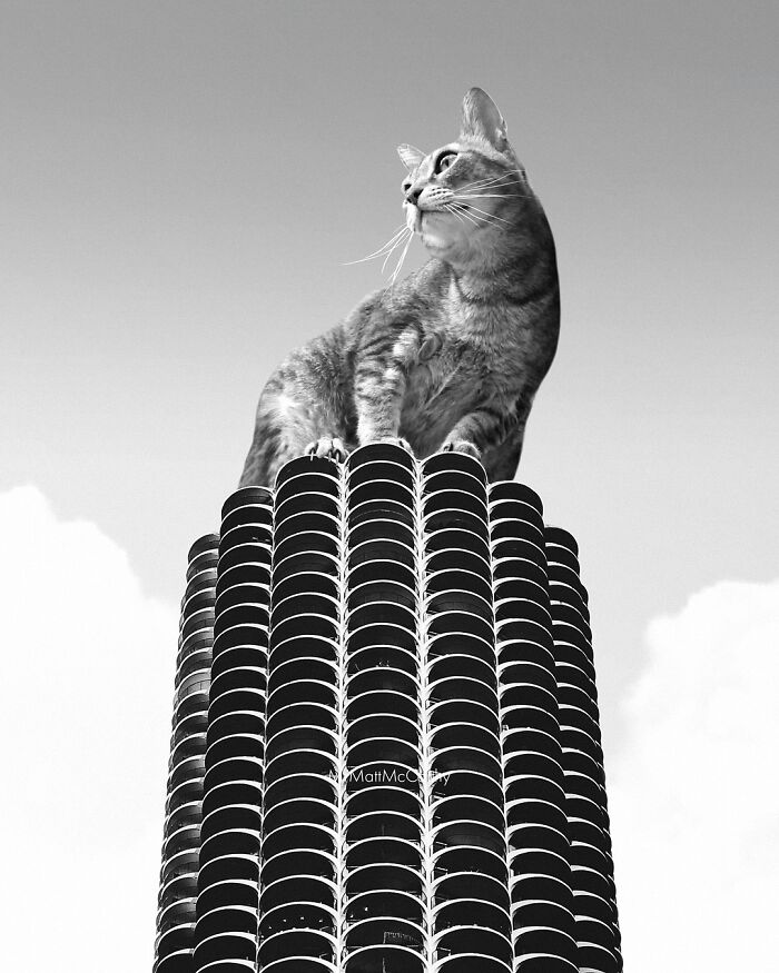 Artist Imagines Surreal Parallel Universe Where Giant Cats Reign, And Here Are 55 New Pieces