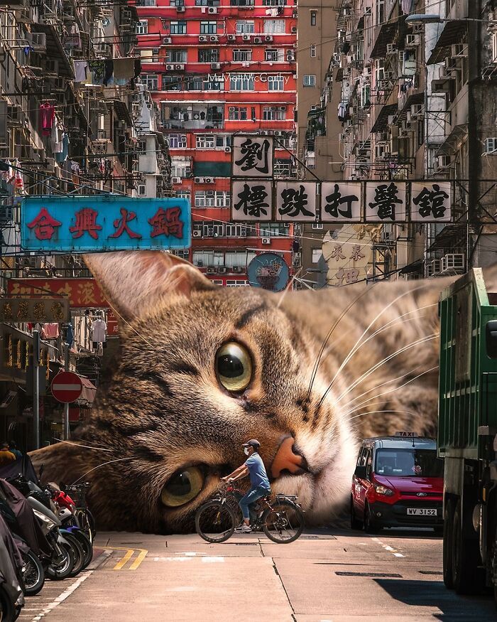 Artist Imagines Surreal Parallel Universe Where Giant Cats Reign, And Here Are 55 New Pieces