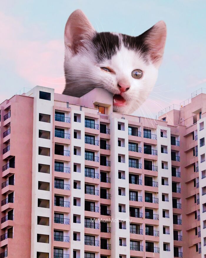 Artist Imagines Surreal Parallel Universe Where Giant Cats Reign, And Here Are 55 New Pieces