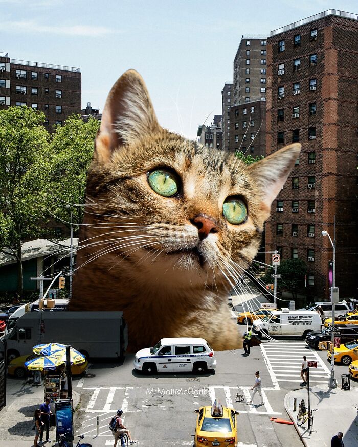 Artist Imagines Surreal Parallel Universe Where Giant Cats Reign, And Here Are 55 New Pieces