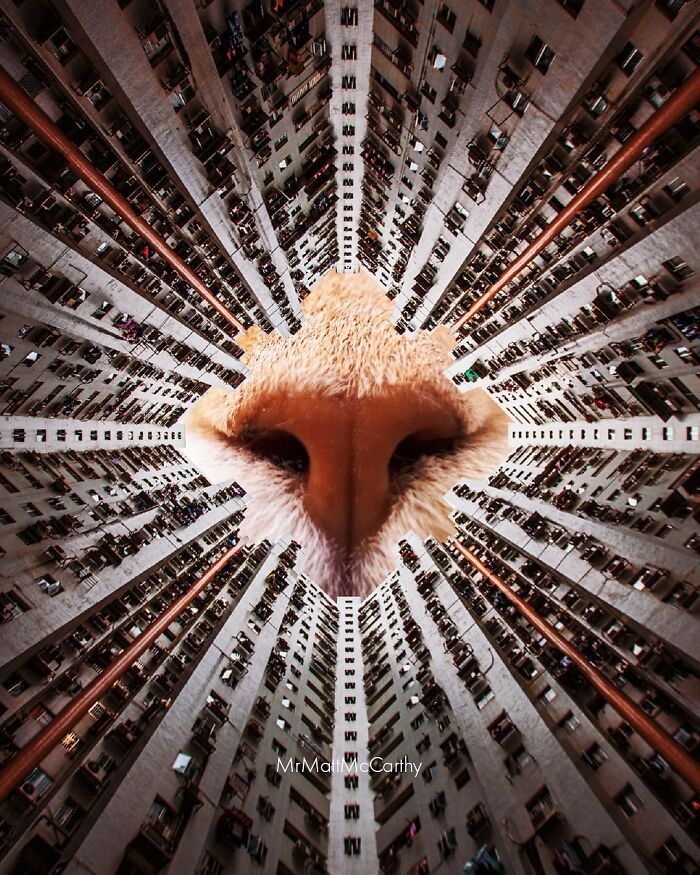 Artist Imagines Surreal Parallel Universe Where Giant Cats Reign, And Here Are 55 New Pieces