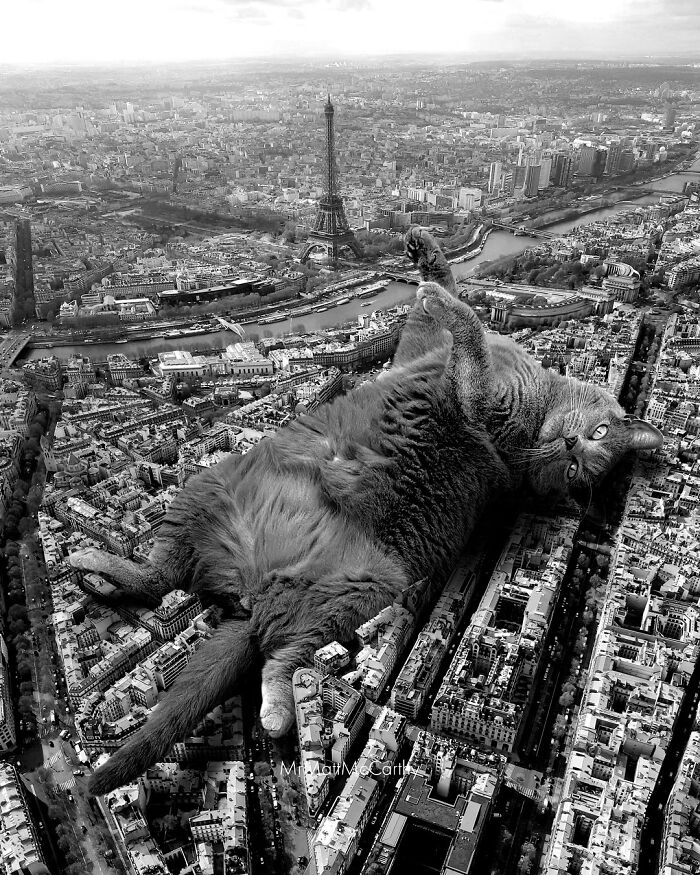 Artist Imagines Surreal Parallel Universe Where Giant Cats Reign, And Here Are 55 New Pieces