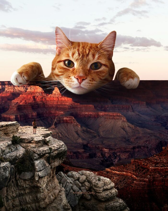 Artist Imagines Surreal Parallel Universe Where Giant Cats Reign, And Here Are 55 New Pieces