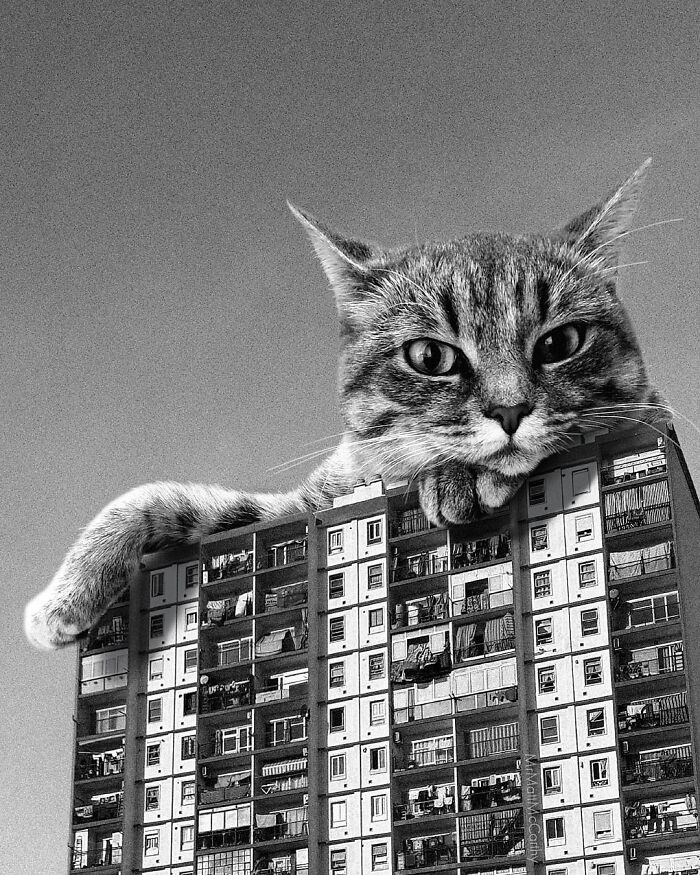 Artist Imagines Surreal Parallel Universe Where Giant Cats Reign, And Here Are 55 New Pieces