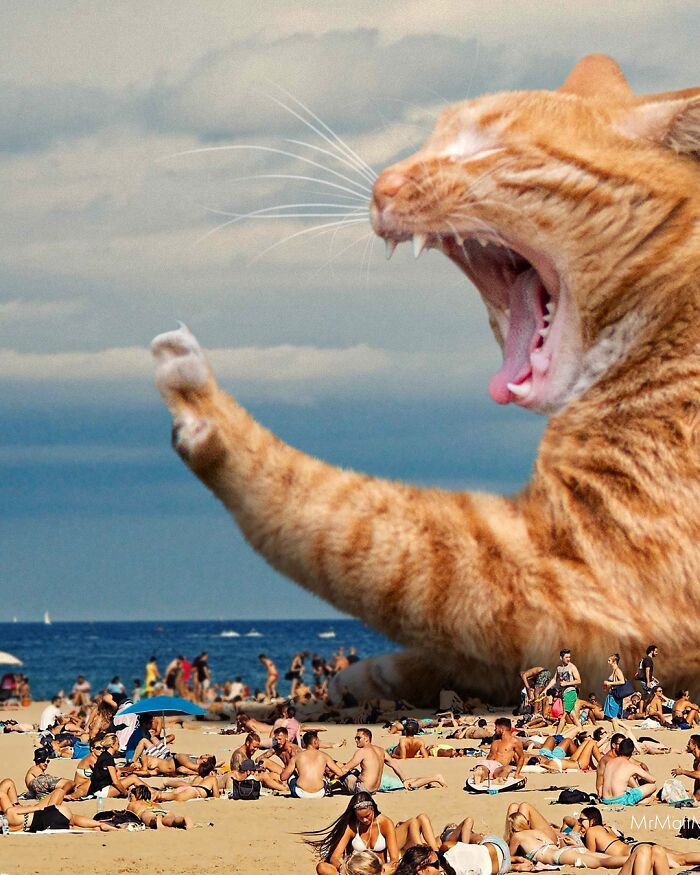 Artist Imagines Surreal Parallel Universe Where Giant Cats Reign, And Here Are 55 New Pieces