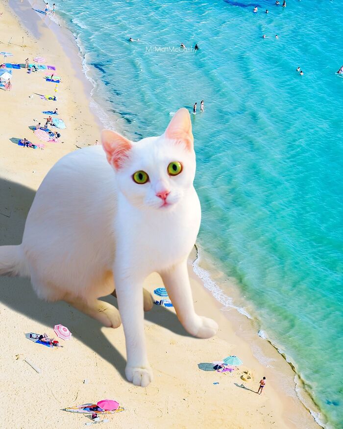 Artist Imagines Surreal Parallel Universe Where Giant Cats Reign, And Here Are 55 New Pieces