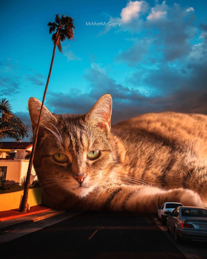 Artist Imagines Surreal Parallel Universe Where Giant Cats Reign, And Here Are 55 New Pieces