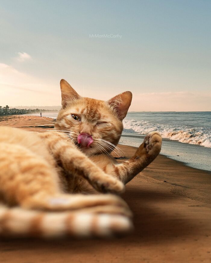 Artist Imagines Surreal Parallel Universe Where Giant Cats Reign, And Here Are 55 New Pieces