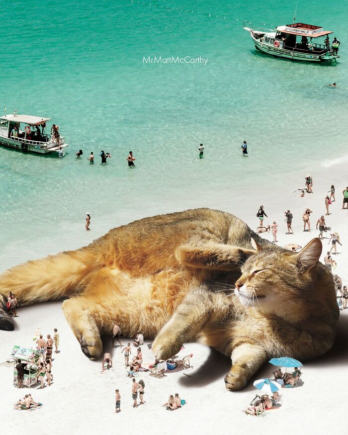 Artist Imagines Surreal Parallel Universe Where Giant Cats Reign, And Here Are 55 New Pieces