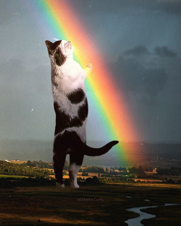 Artist Imagines Surreal Parallel Universe Where Giant Cats Reign, And Here Are 55 New Pieces