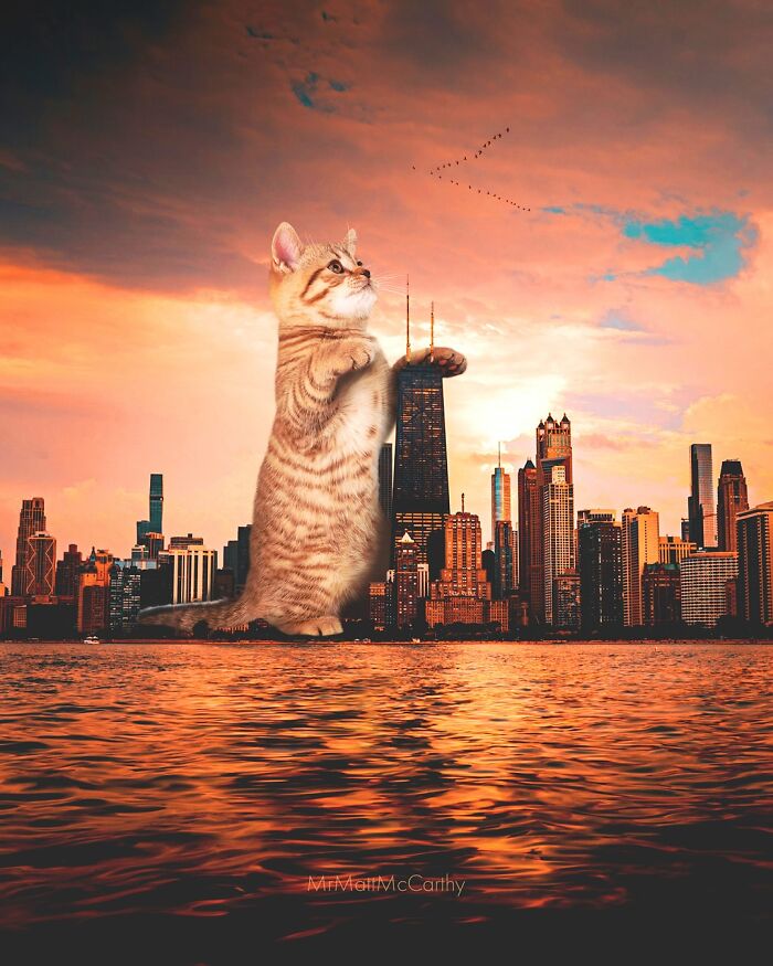 Artist Imagines Surreal Parallel Universe Where Giant Cats Reign, And Here Are 55 New Pieces