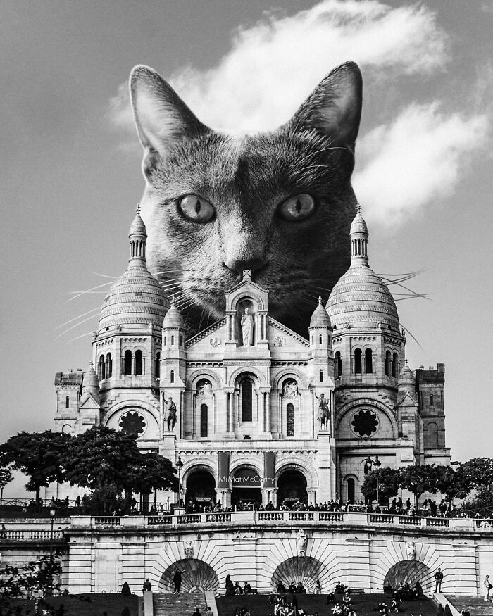 Artist Imagines Surreal Parallel Universe Where Giant Cats Reign, And Here Are 55 New Pieces