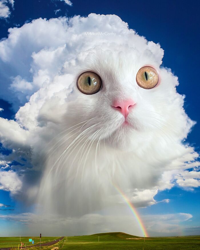 Artist Imagines Surreal Parallel Universe Where Giant Cats Reign, And Here Are 55 New Pieces