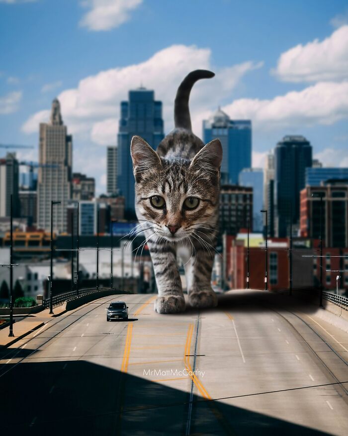 Artist Imagines Surreal Parallel Universe Where Giant Cats Reign, And Here Are 55 New Pieces