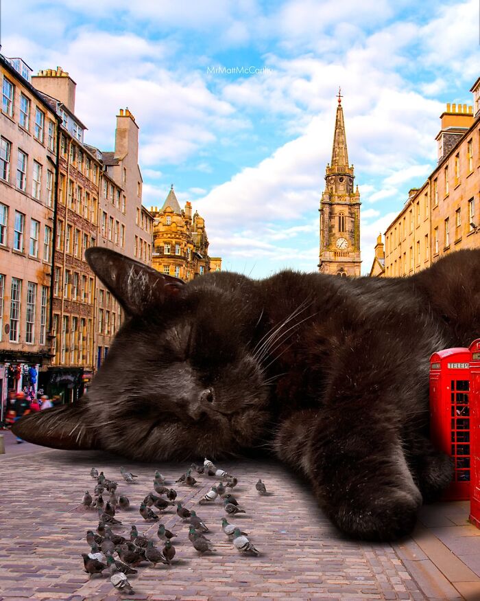 Artist Imagines Surreal Parallel Universe Where Giant Cats Reign, And Here Are 55 New Pieces
