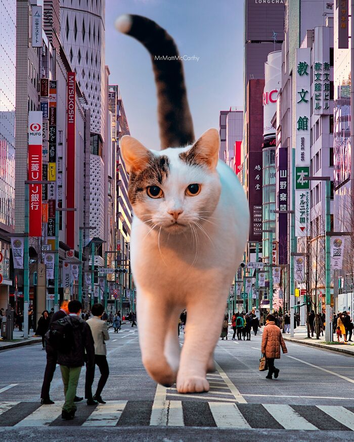Artist Imagines Surreal Parallel Universe Where Giant Cats Reign, And Here Are 55 New Pieces