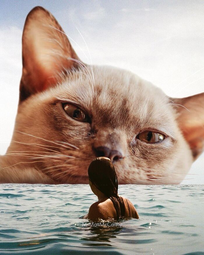 Artist Imagines Surreal Parallel Universe Where Giant Cats Reign, And Here Are 55 New Pieces