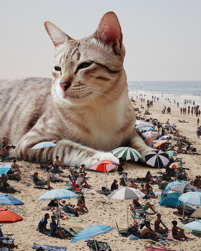 Artist Imagines Surreal Parallel Universe Where Giant Cats Reign, And Here Are 55 New Pieces