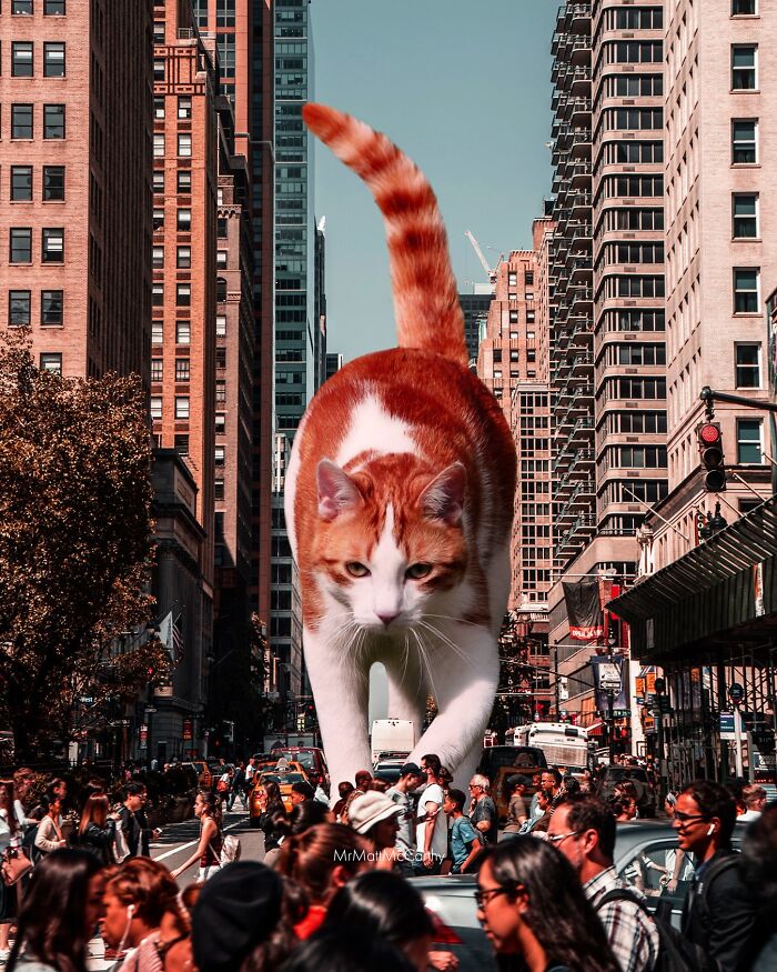 Artist Imagines Surreal Parallel Universe Where Giant Cats Reign, And Here Are 55 New Pieces