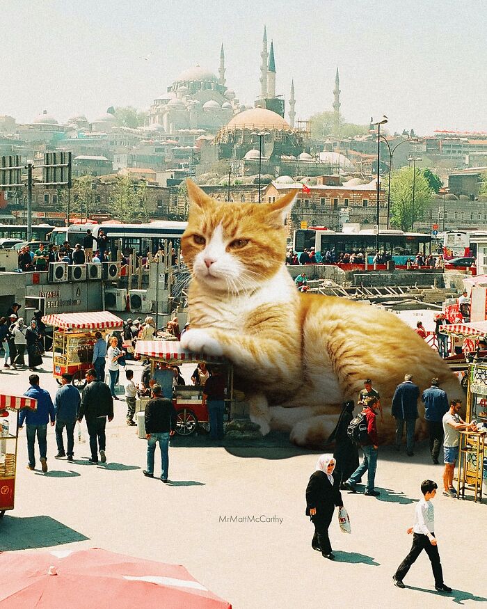 Artist Imagines Surreal Parallel Universe Where Giant Cats Reign, And Here Are 55 New Pieces
