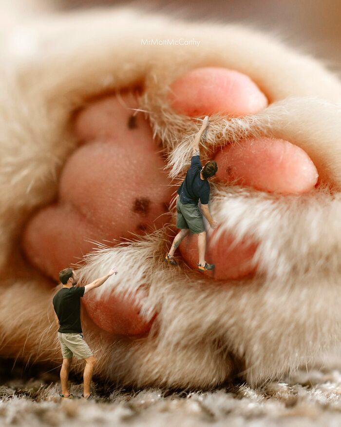 Artist Imagines Surreal Parallel Universe Where Giant Cats Reign, And Here Are 55 New Pieces