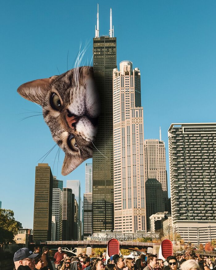 Artist Imagines Surreal Parallel Universe Where Giant Cats Reign, And Here Are 55 New Pieces