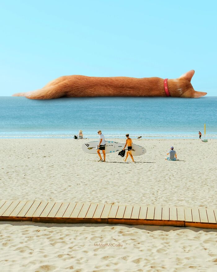 Artist Imagines Surreal Parallel Universe Where Giant Cats Reign, And Here Are 55 New Pieces