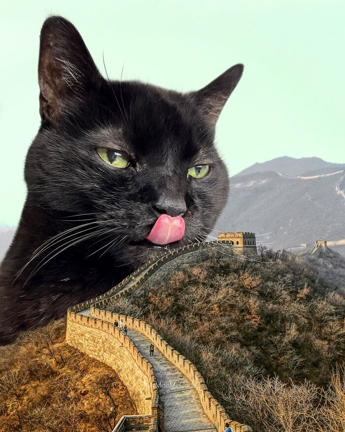 Artist Imagines Surreal Parallel Universe Where Giant Cats Reign, And Here Are 55 New Pieces