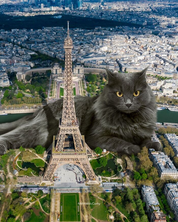 Artist Imagines Surreal Parallel Universe Where Giant Cats Reign, And Here Are 55 New Pieces