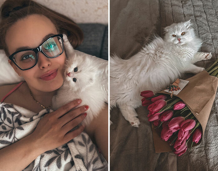 “Cat Grows”: This Group Shares Heartwarming “Then And Now” Photos Of Kittens Turning Into Cats (29 New Pics)