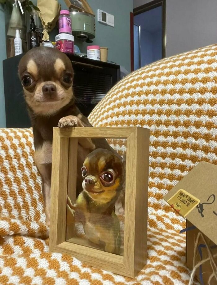 “This Is What You See At The Gates Of Heaven”: 141 Of The Cutest Dogs Ever (New Pics)
