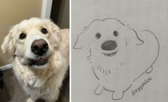 “This Is What You See At The Gates Of Heaven”: 141 Of The Cutest Dogs Ever (New Pics)