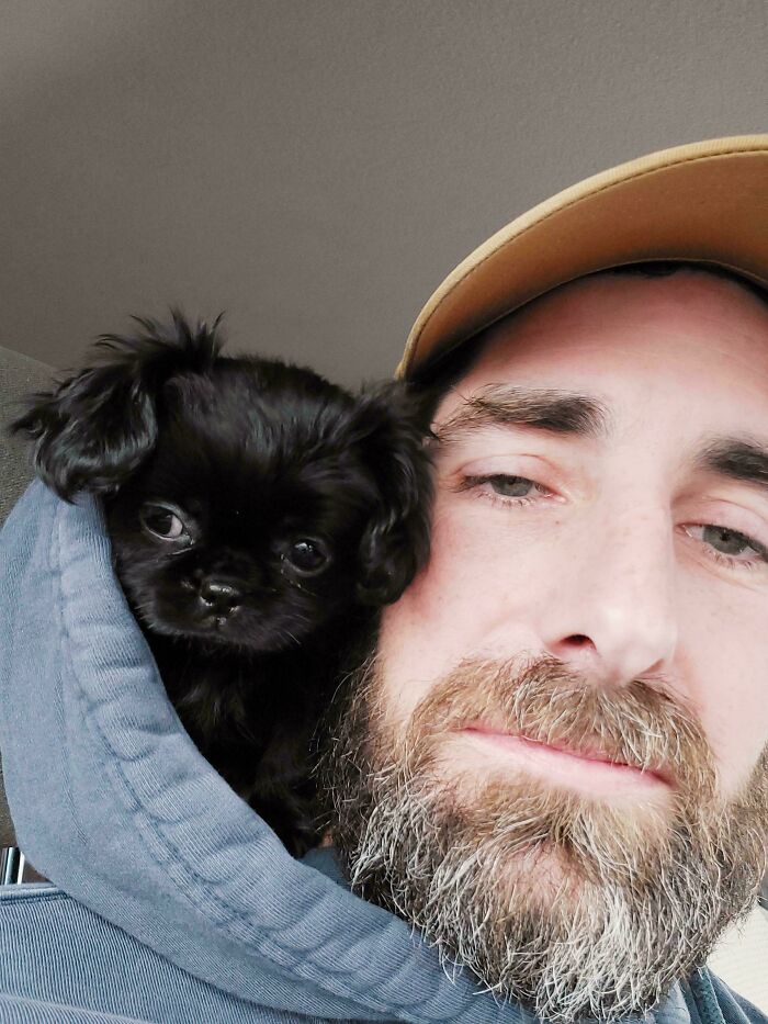 “This Is What You See At The Gates Of Heaven”: 141 Of The Cutest Dogs Ever (New Pics)