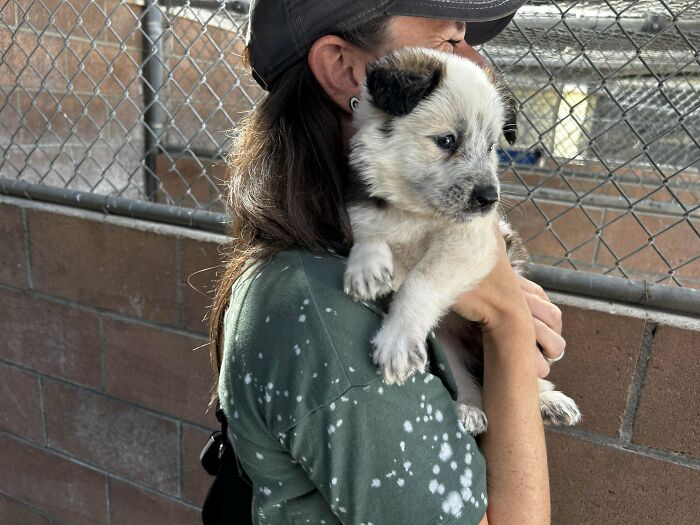 “This Is What You See At The Gates Of Heaven”: 141 Of The Cutest Dogs Ever (New Pics)