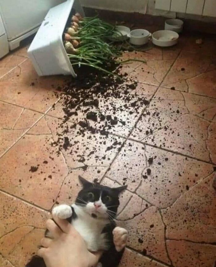 77 Cursed Images So Unhinged, You Might Wonder What Corner Of The Internet They Crawled Out From