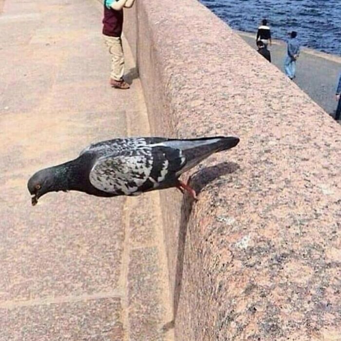 77 Cursed Images So Unhinged, You Might Wonder What Corner Of The Internet They Crawled Out From