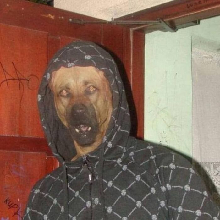 77 Cursed Images So Unhinged, You Might Wonder What Corner Of The Internet They Crawled Out From